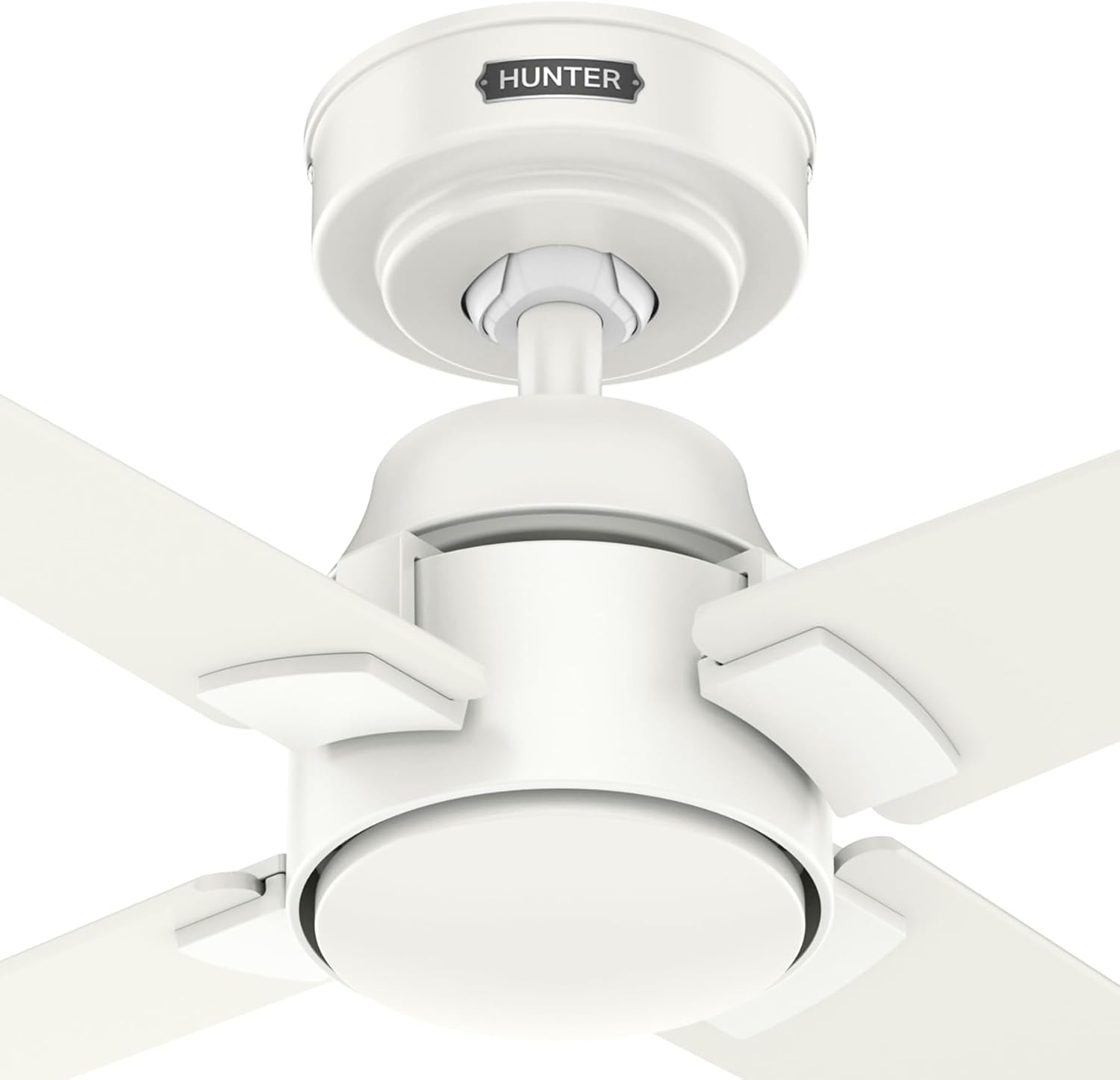 HUNTER 52863 52IN CORDELIA NO LIGHT FRESH WHITE